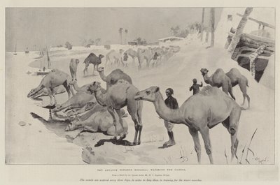 De Vooruitgang naar Dongola, de Kamelen Water Gevend door Cecil Charles Windsor Aldin